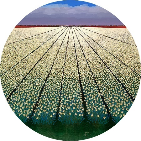 Witte tulpenvelden - Ton Dubbeldam - Art Cirkel