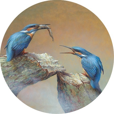 Voerende ijsvogels - Erik van Ommen - Art cirkel