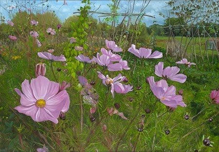 Theo Leijdekkers - Moestuin