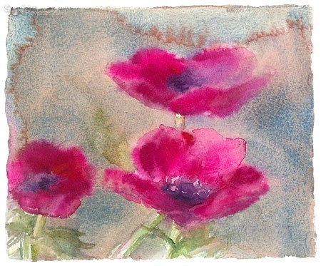 Anemone - Dorry van de Winkel giclee