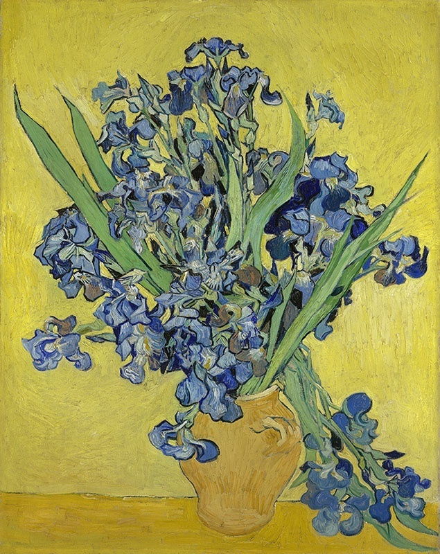 irissen-vincent-van-gogh-b16483cb-56e9-4044-aa9b-20e5b0400adb.jpg