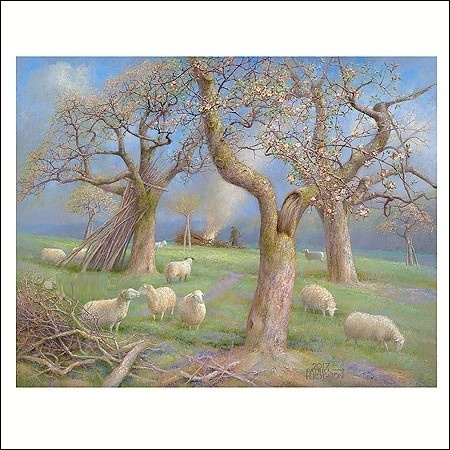 Schapen in de boomgaard - art card - Patrick Creyghton