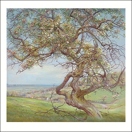 Bloeiende appelbomen - Patrick Creyghton, wenskaart