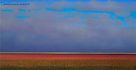 Rode Tulpenvelden - Ton Dubbeldam