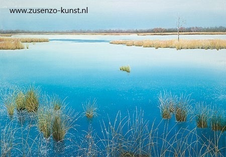 Boerenveensche plassen - Geke Hoogstins