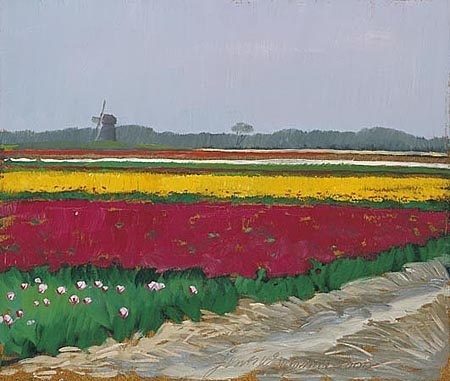 Tulpenvelden bij Callantsoog - Jentsje Popma