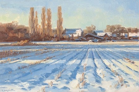 Winterakker van Hans Versfelt